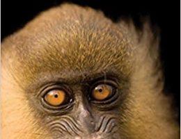 Zoo Ethics: The Challenges of Compassionate Conservation