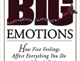 Little Book of Big Emotions