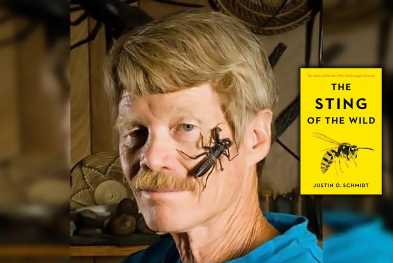 2022 EBS 수능특강 영어 변형문제 (10강 Exercise 4번) The Sting of the Wild