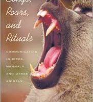 Songs, Roars, and Rituals