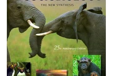 Sociobiology: The New Synthesis