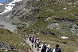 Essentials of Psychology