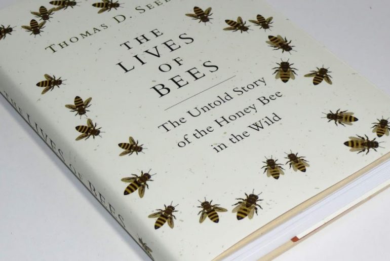 2022 EBS 수능특강 영어독해연습 변형문제 (4강 Exercise 8) The Lives of Bees: The Untold Story of the Honey Bee in the Wild