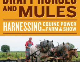 2022 수능특강 영어독해연습 변형문제 (5강 Exercise 10)