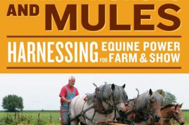 2022 수능특강 영어독해연습 변형문제 (5강 Exercise 10)